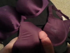 nice cumshot on nieghbors bras