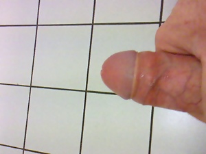 Public toilet wanking