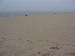 Amy at the beach