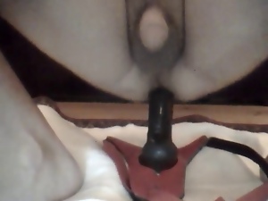 strapon fuck webcam boy